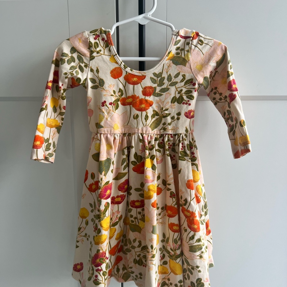 Alice + Ames ballet dress in Botany (sold out print) 3T EUC